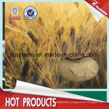 80% Purity Amino Acid Fertilizer Use